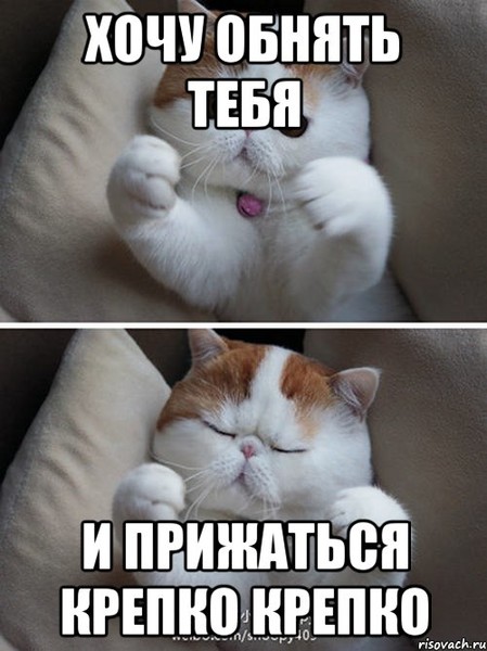 Вот как хочу обнять открытки Вот как хочу обнять открытки