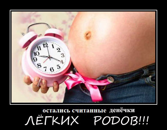 Осень » Поздравления, Пожелания, Тосты, Стихи Одноклассники моя страница