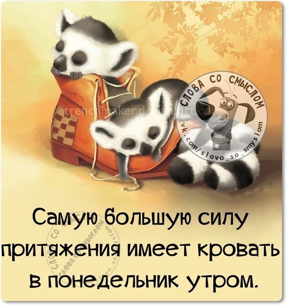 Шоколаде новосибирске, с добрым утром понедельник картинки с позитивом
