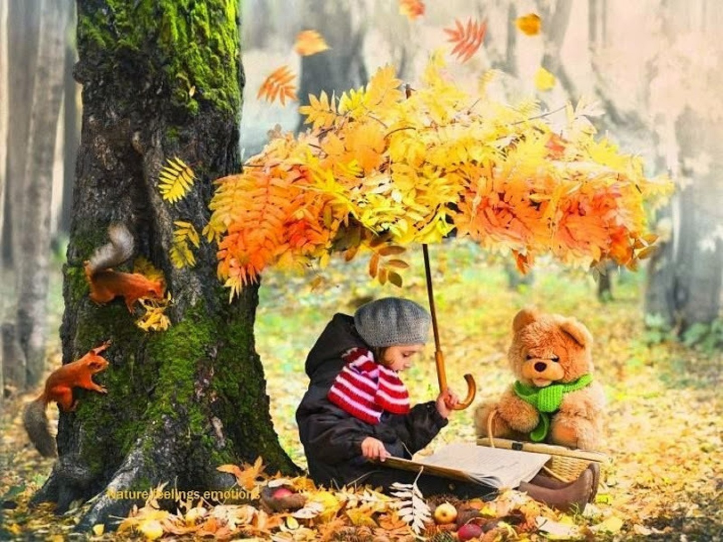 Осенняя сказка