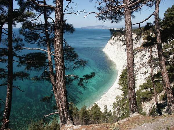 Голубая бездна в геленджике фото