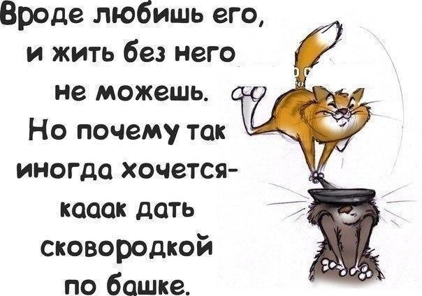 картинки давай жить без ссор устанавливает