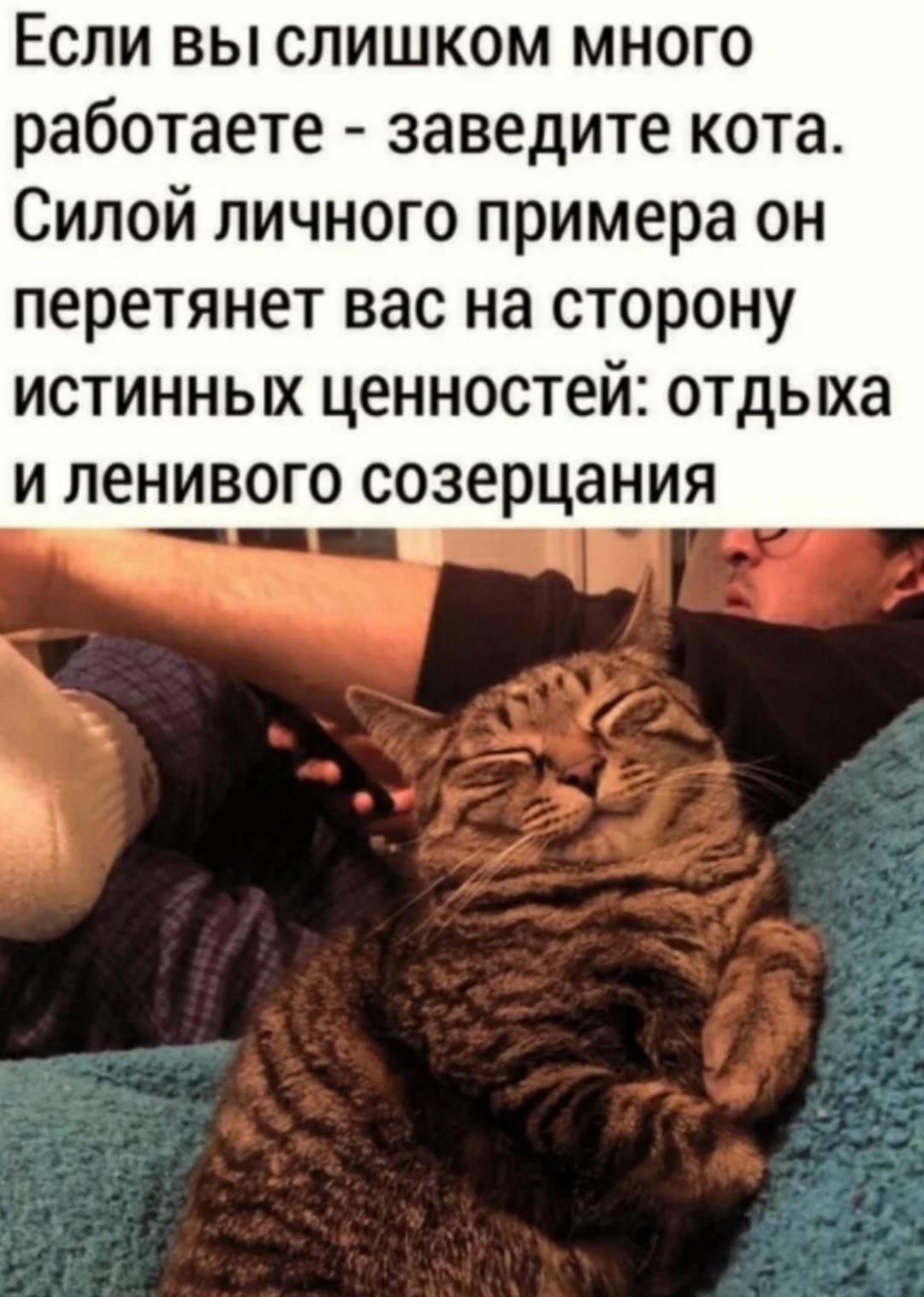Совет дня юмор