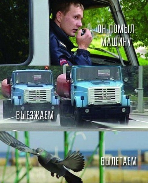 Выезжаем картинки смешные, смешным лицом открытка