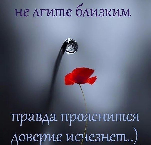 Открытка не люблю ложь, картинки мороженое