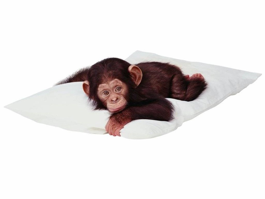 Подушка обезьянка