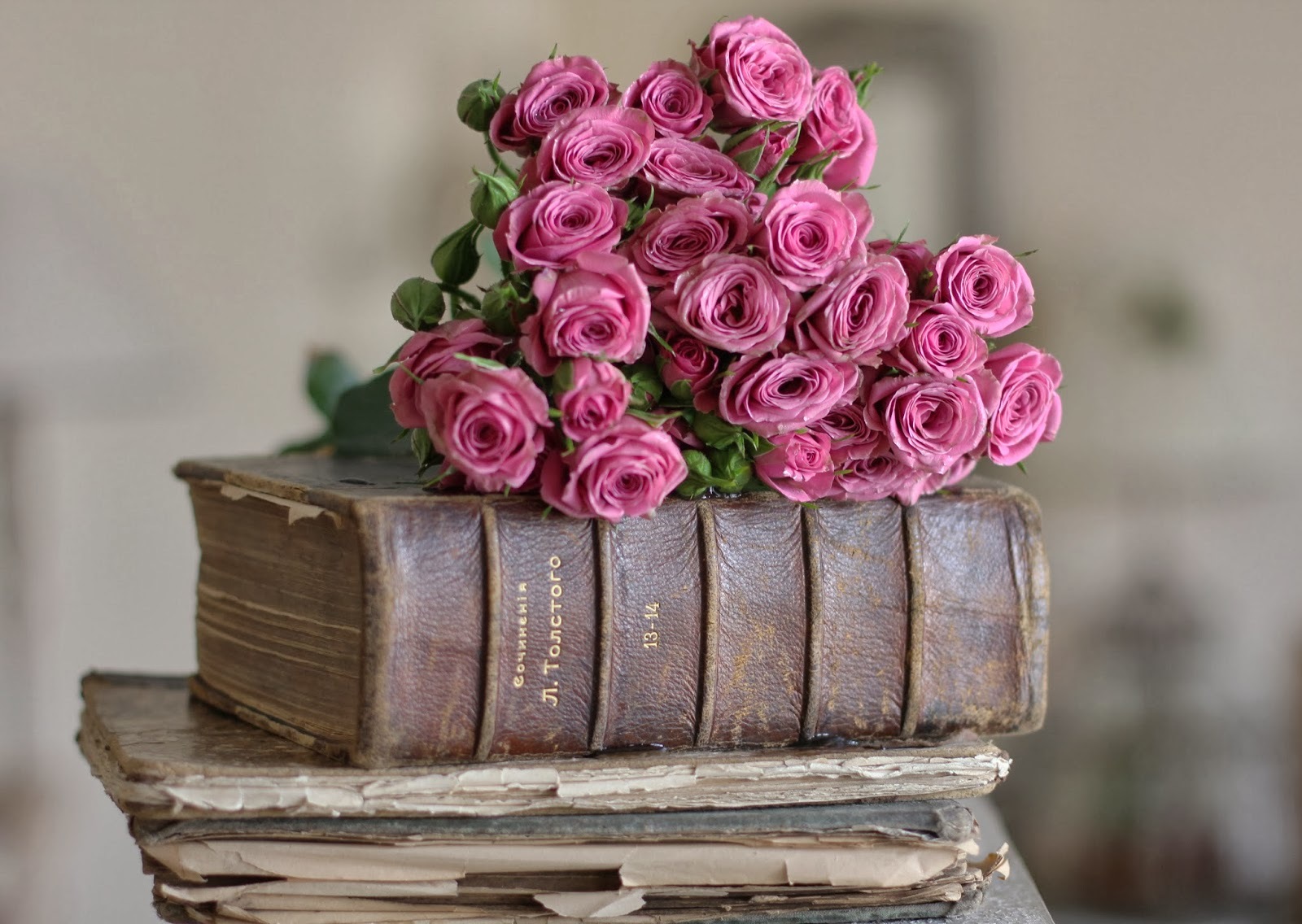 Цветы и книги фото красивые