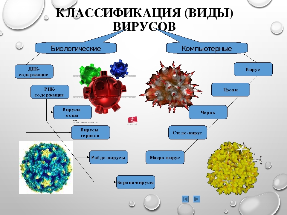 Вирус является формой жизни. Классификация вирусов схема биология. Виды вирусов в биологии 5 класс. Вирусы бывают. Виды форм вирусов.