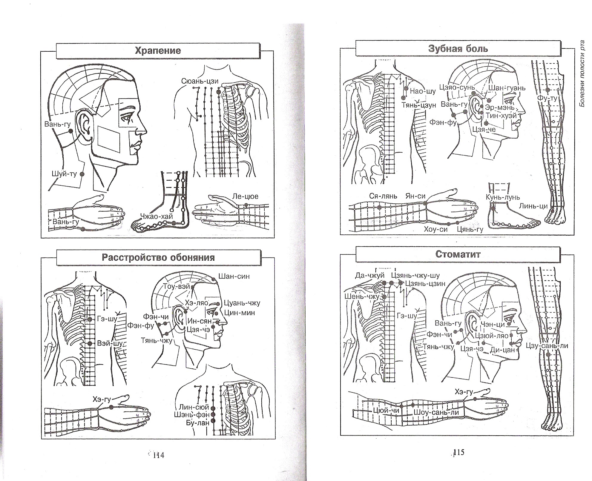 Атлас леднева 176 схем биологически активных точек для лечения 200 болезней