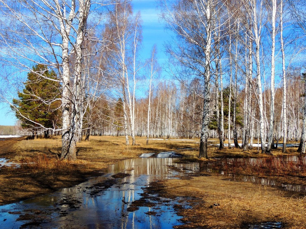 Картина месяц апрель